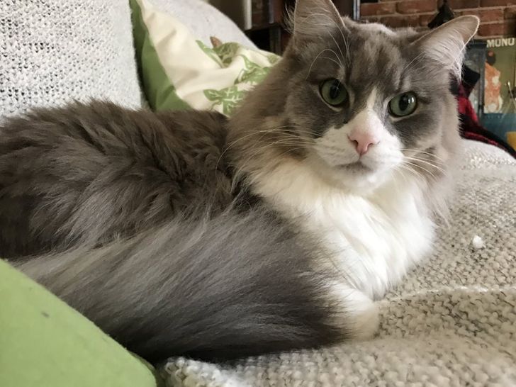 bc1a6b5ba38afbe1be742ecd9c