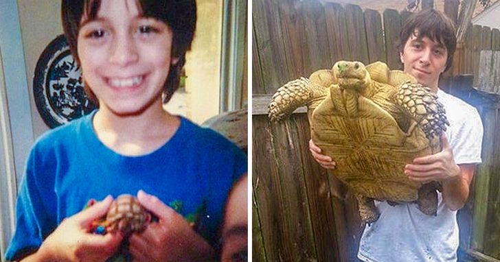 bc1b0956b7b11b4dda1e8cecc2