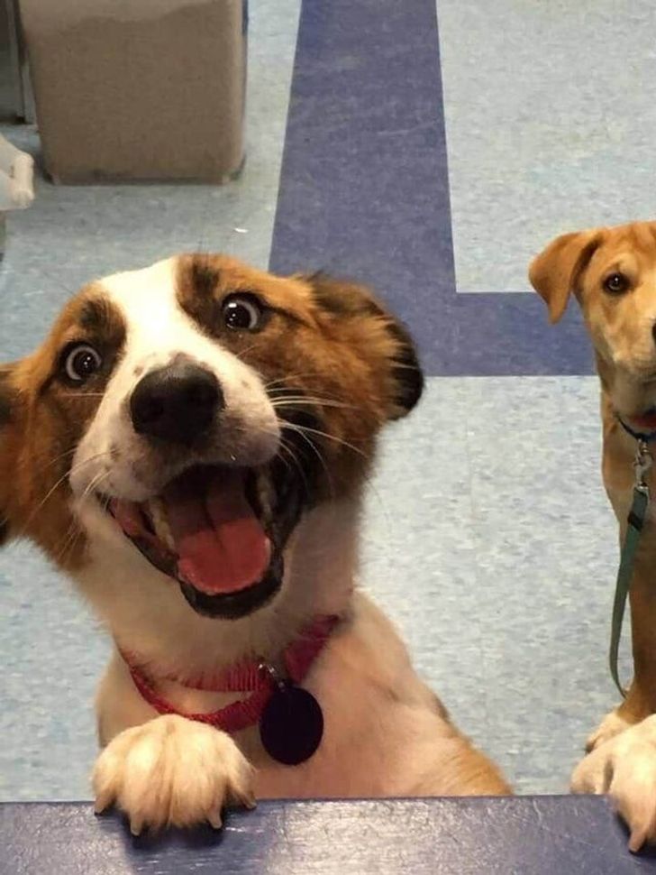 bc21d05a18ac9907db2a062c01