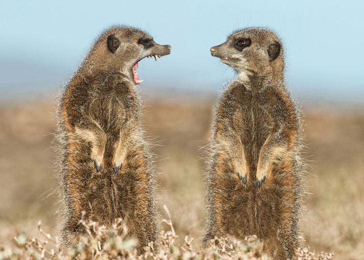 bc22f859aa87ad9a695ff9b13d