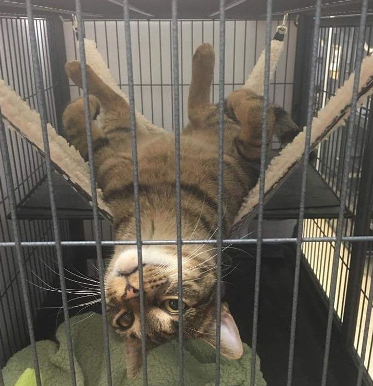 bc23195aff8db21c30b0629a5c