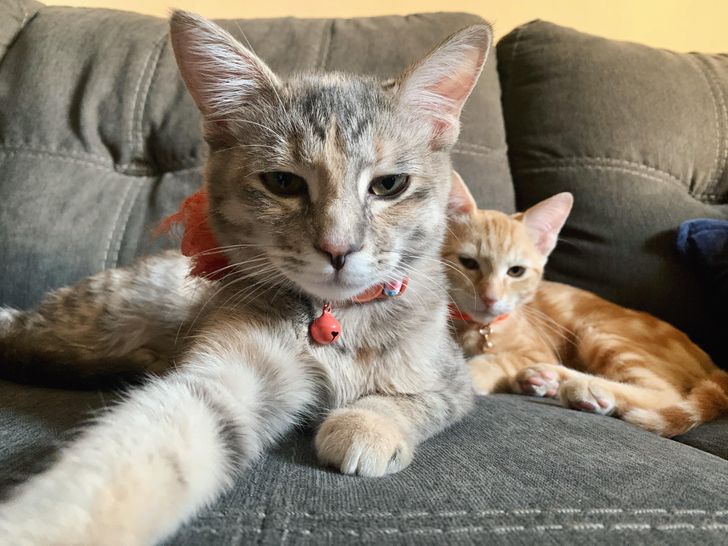 bc2d4b5f94b69a87e36c3fa856