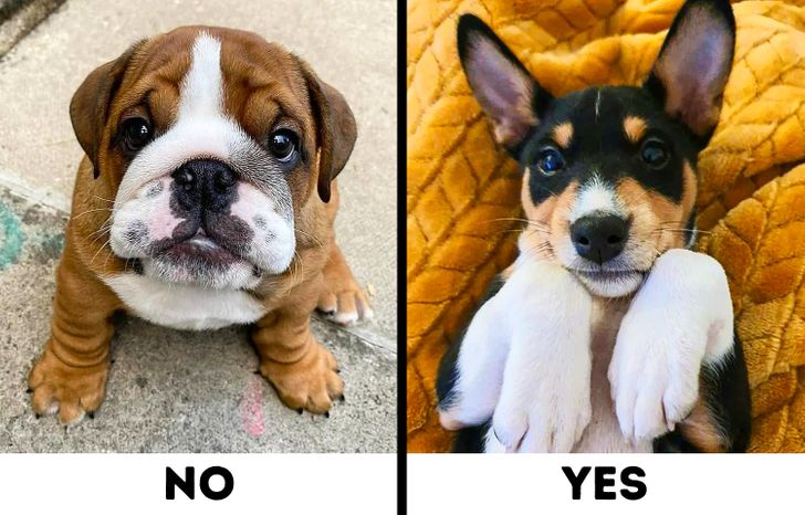 bc32065cb385567fd07f006c86