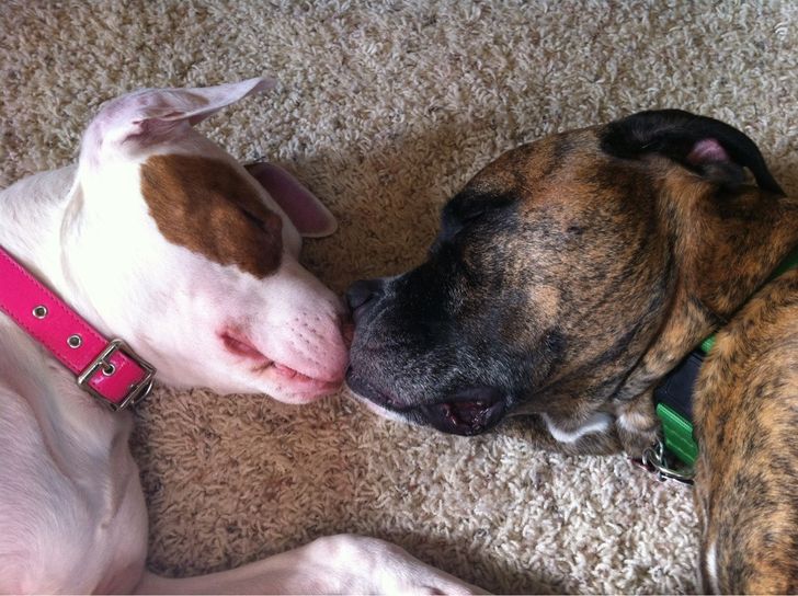 bc35ed509182772f8c720d4e3c