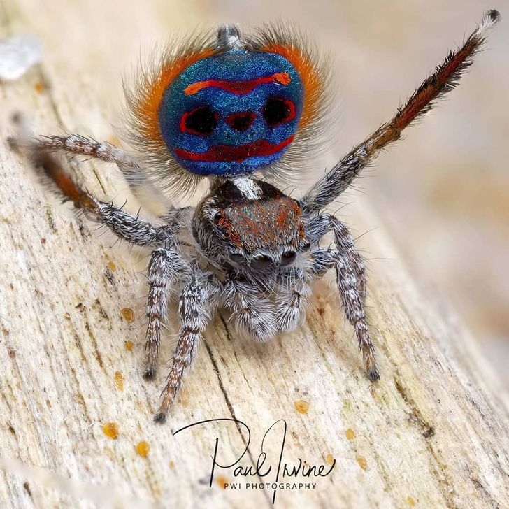 bc48c451cda2b2961918201dae