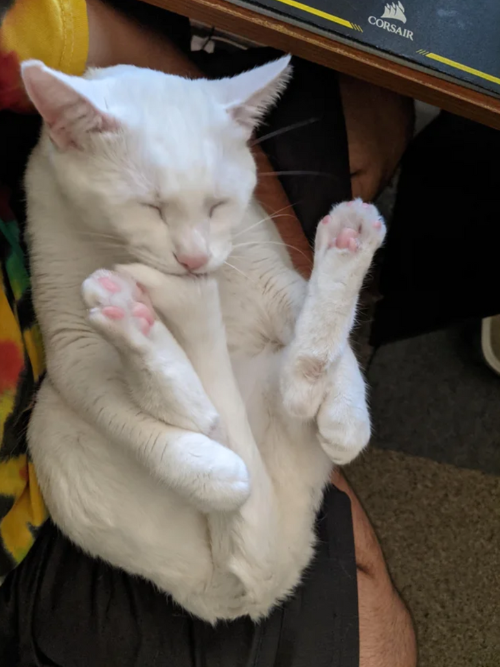 bc4d6e585ab4ac56485a51621a