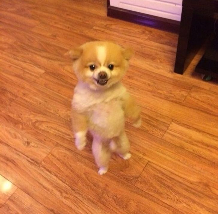 bc512c5f8893b44a28515bab5f