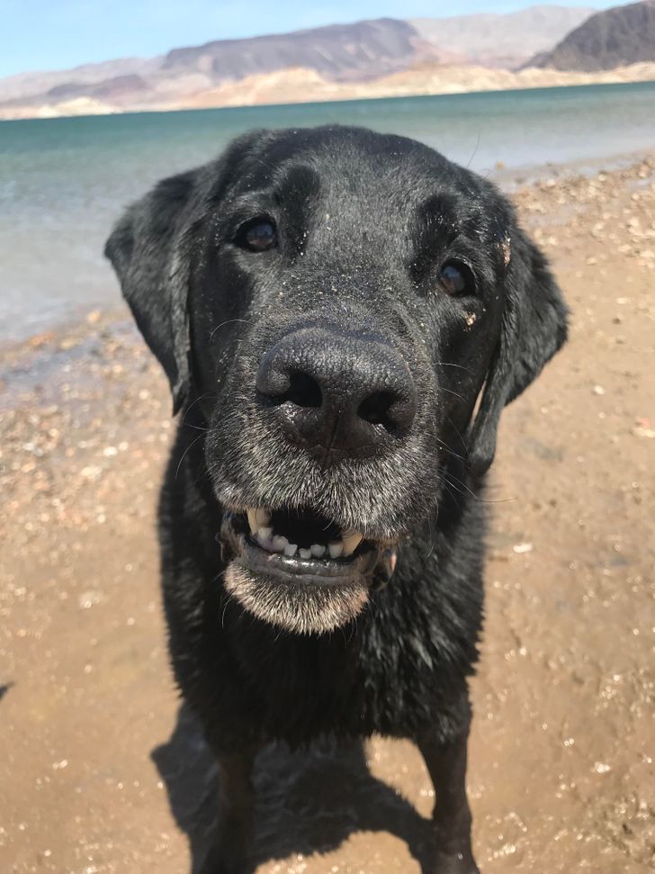 bc58d35731b19370656c5cf470