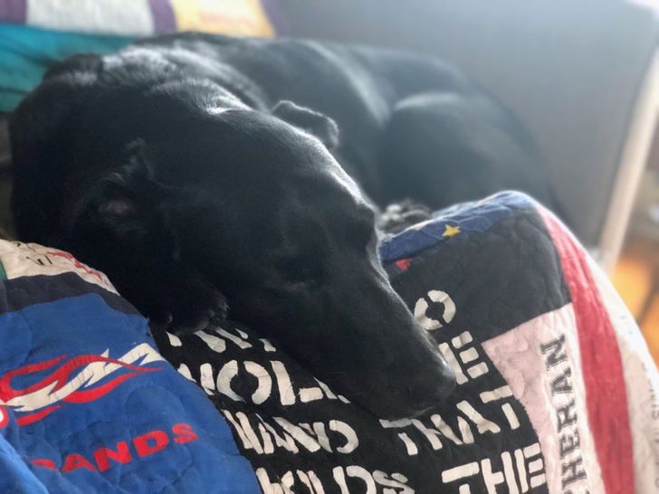 bc621059c5823b59aae6903662