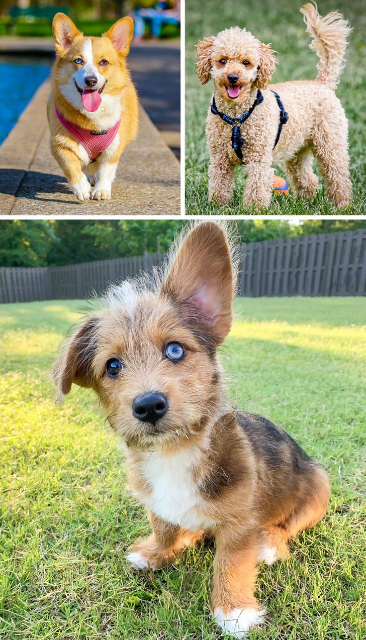 bc6cce5f86925405df529c2400