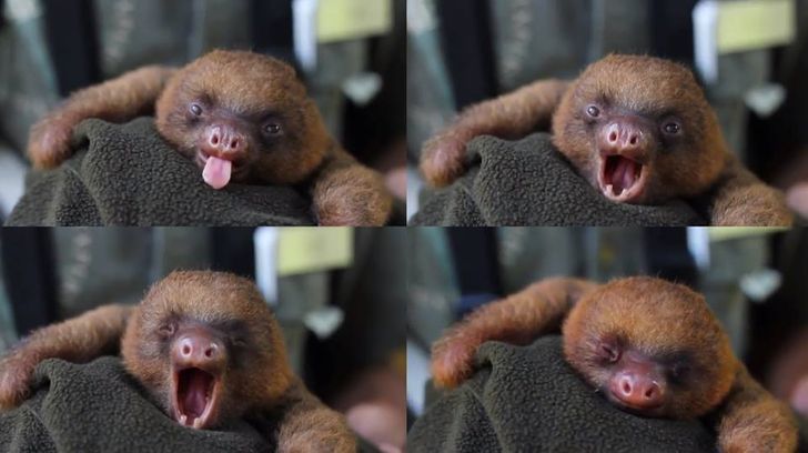 bc6d5c5c0a85b5d0d701720574