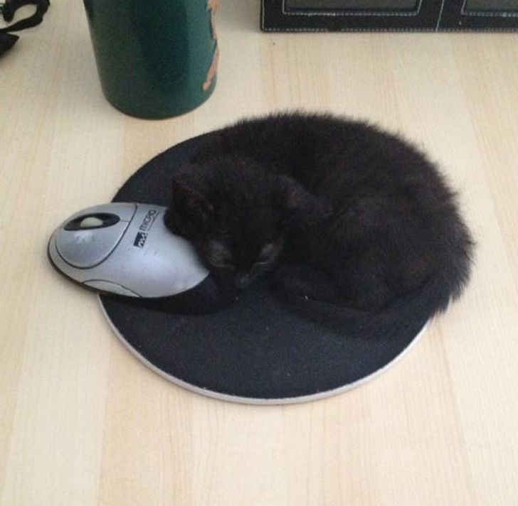 bc7272550aa910bd9cd107666a