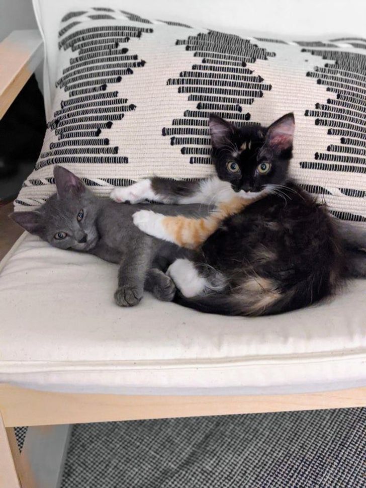 bc76055eecb309c3da1349985b