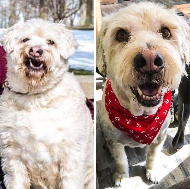 bc7a75505a9c41f5dffeae19a2