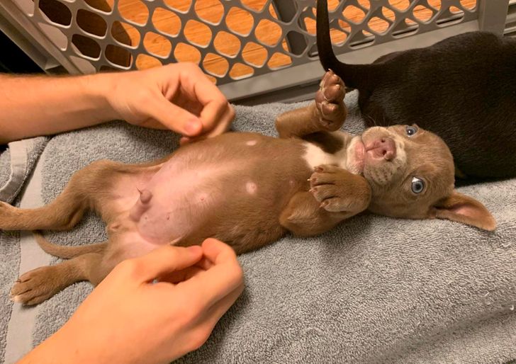 bc7b025a43b315466df69019d3