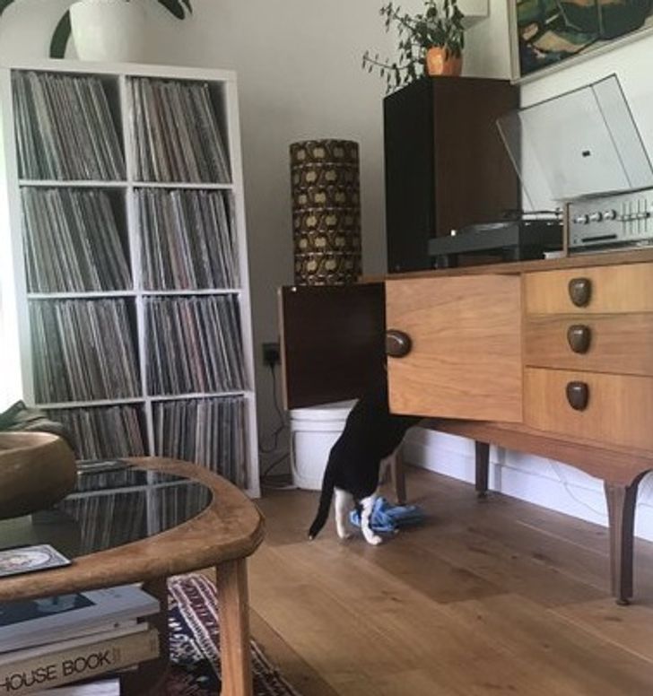 bc8b895d2bac513c3d629f0cc5