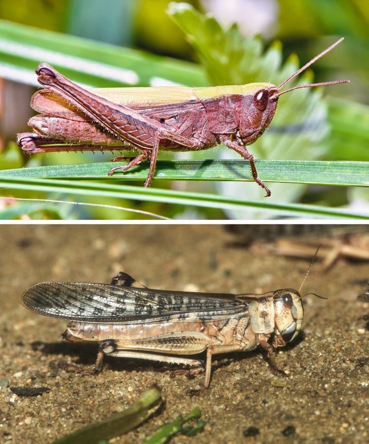 bc94b253ecb147915554561e3d