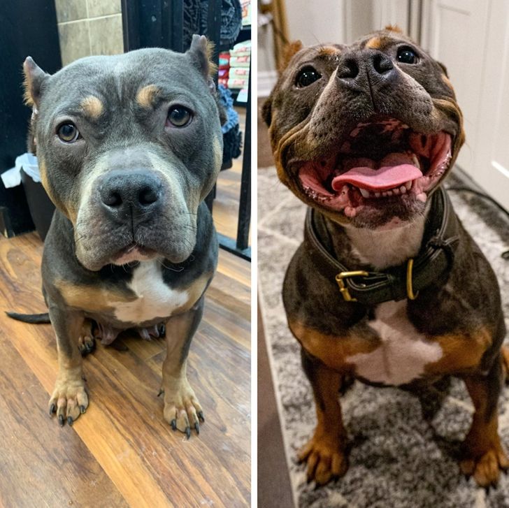 bc94cf5419998612cf66520674