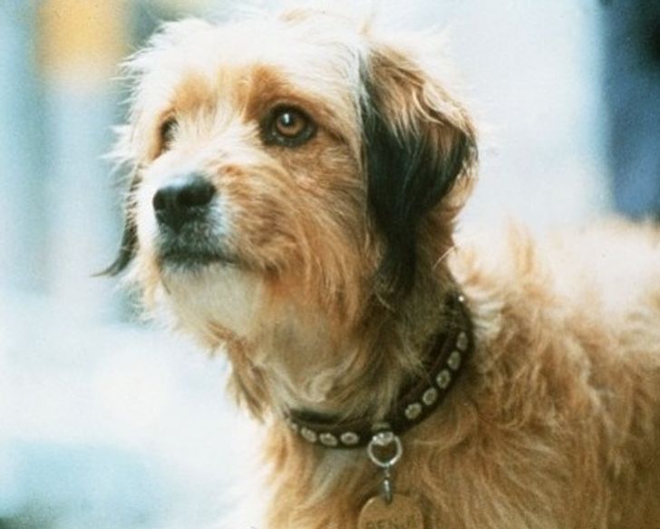 bc9d395c4c9bdb4599ce1332af