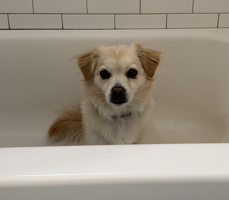 bca002523d89fc6c751cb6b41a