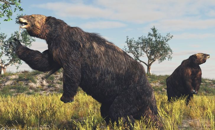 bca01a5feb95bbf305a41f7272