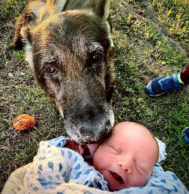 bca4ee59889b519a45528d748e