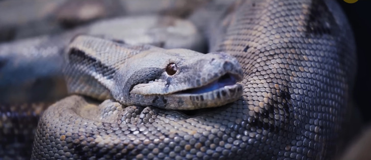 bca7945d4c9581aedf21e3a6fa