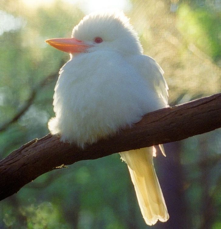 bcb26d58dead13a889e0afe970