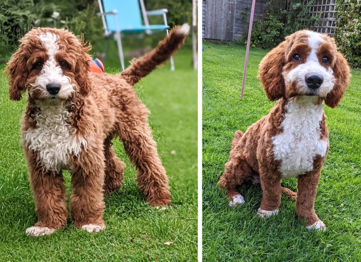 bccb1a50008ba87fc36e7dff1b