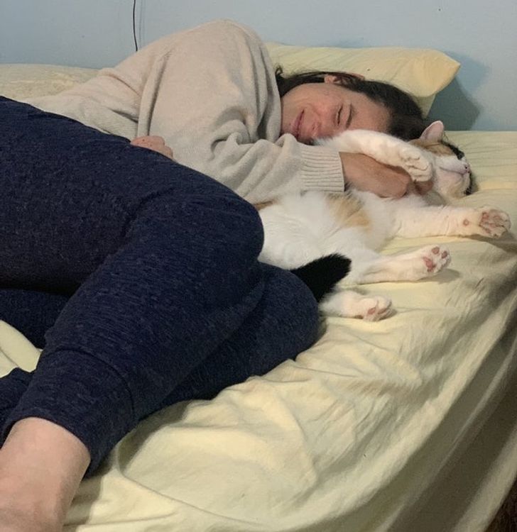 bccc7251e8a5a7e06186220846