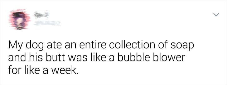 bcd1175bcaa211d4b48f6b2e22