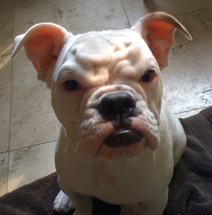 bcdaa6584e8a398f5cfcba83e5