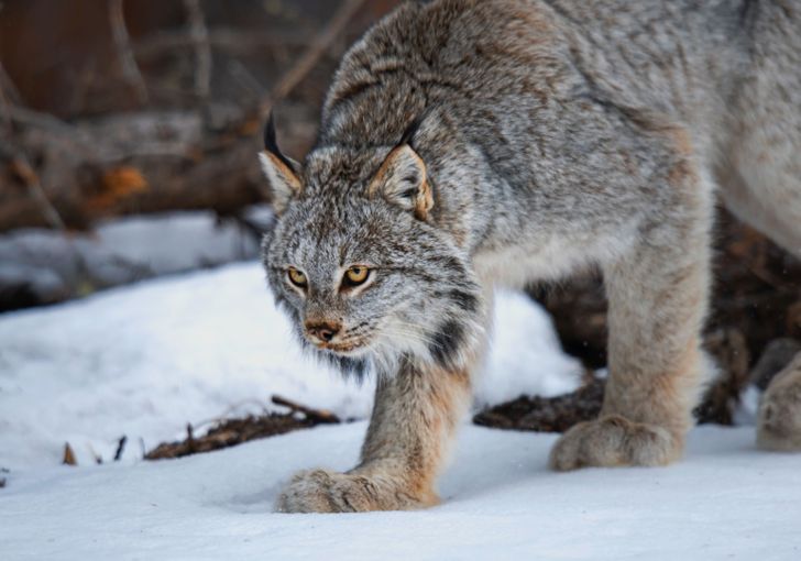 bcdd805631bcf9c66d02297b01