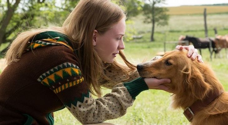 bce0795c2785640c68683fe3b8