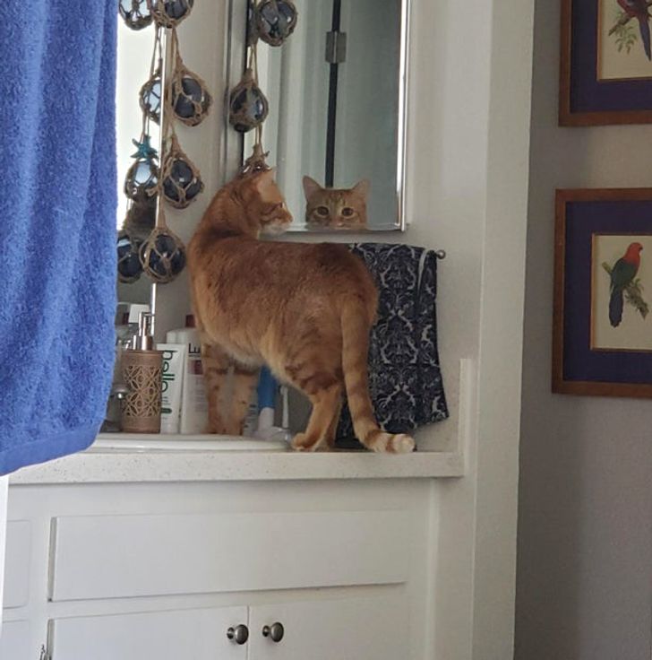 bce55653de852506ddd1420d3c