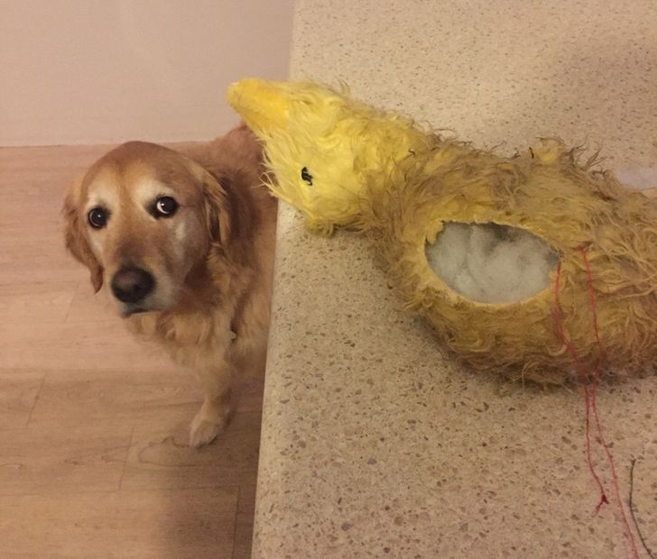 bce9da5b40ad42da6a5d47f077