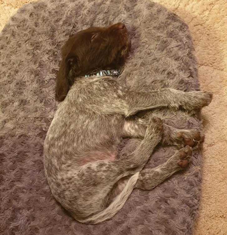 bceb9451c7bec0f59dd7bac1f1