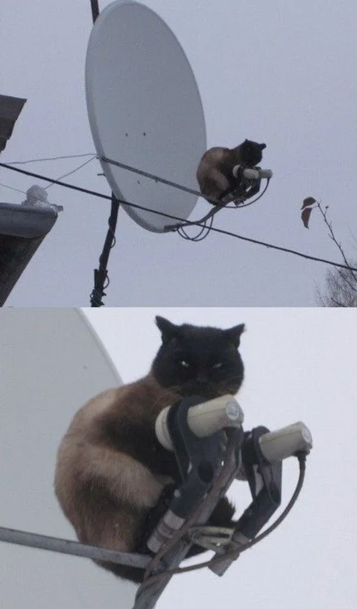 bced4e52f7b76f9e868fda9fc9 bced4e52f7b76f9e868fda9fc9