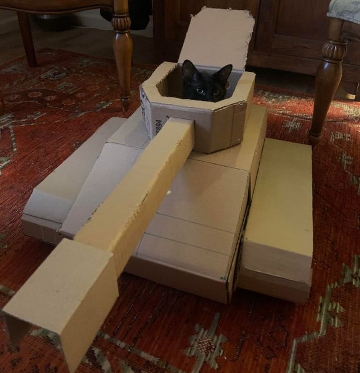 bcef5c5ee5abfc88cbcf0788de