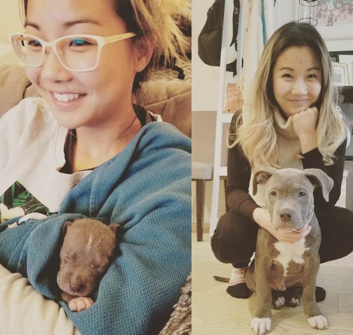 bcff0f5513ac20c18708022c3c