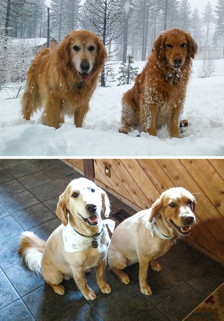 bd01f151659f547cab9276366c