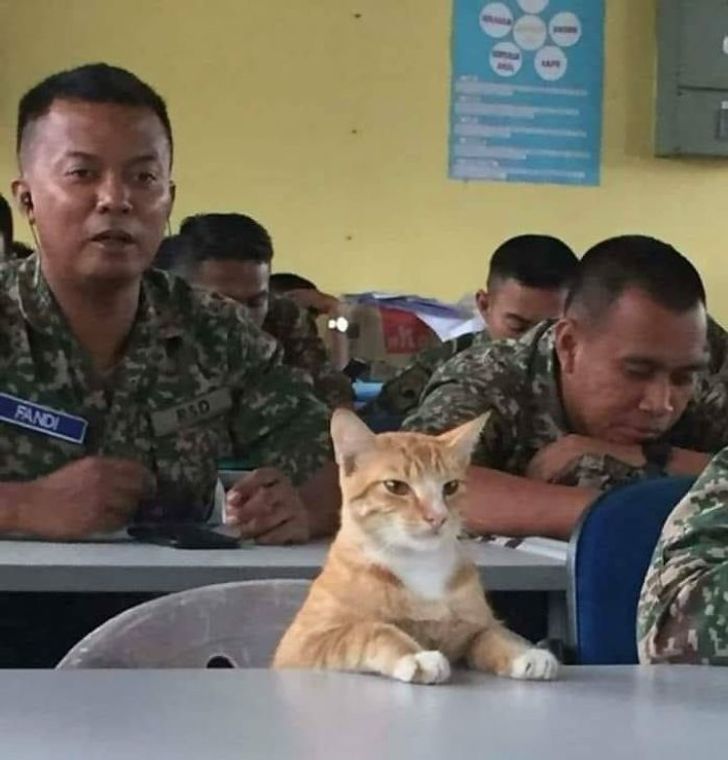 bd0266531ba953af67de9fb901