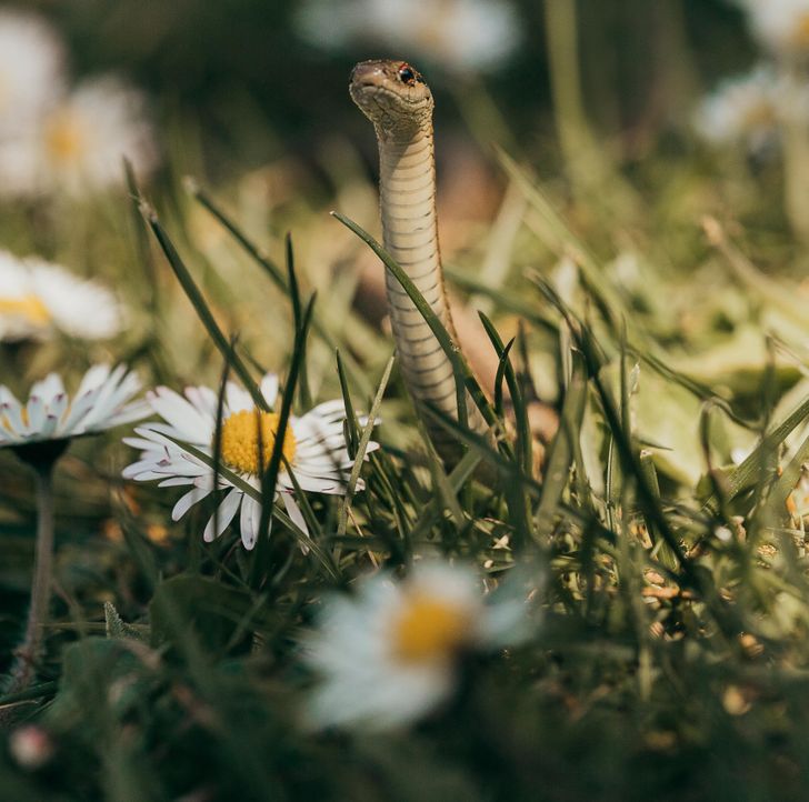 bd13445badbbc44534c77001f2