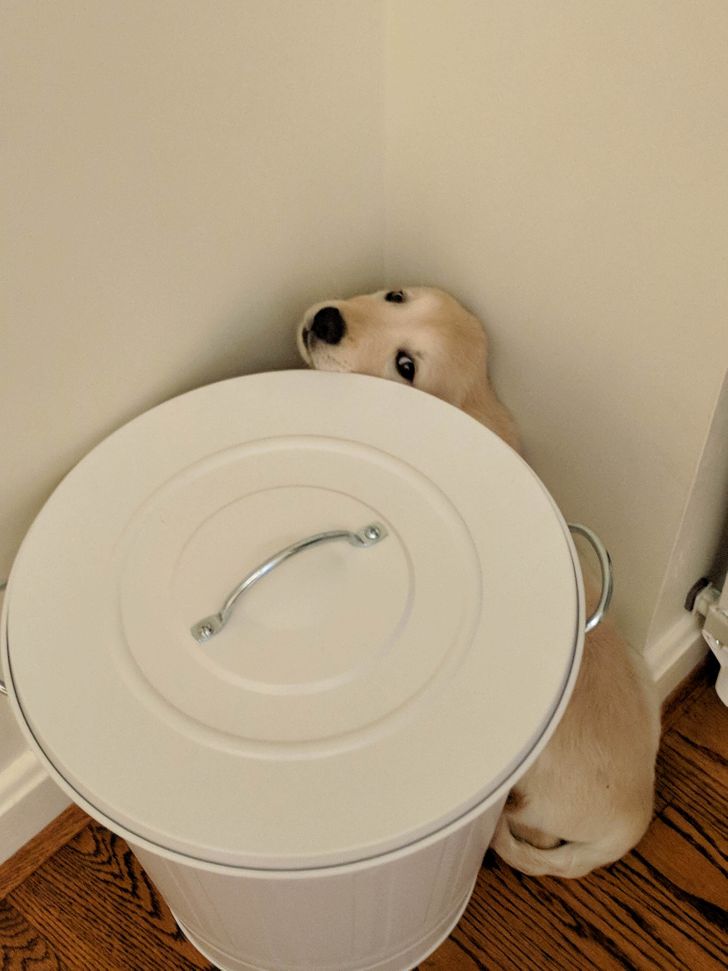 bd1c365f12a4916b829960b1aa