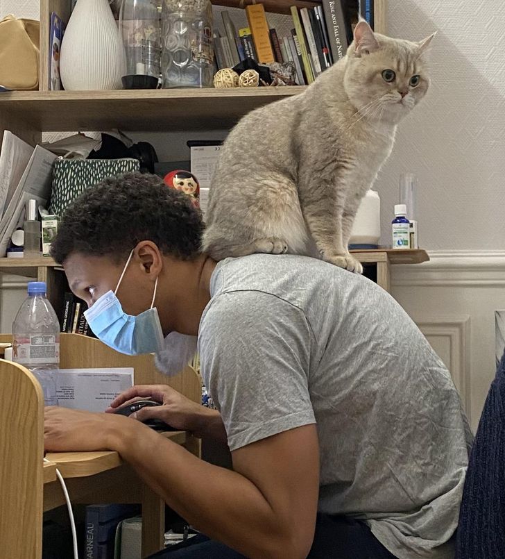 bd267451a4a6b981dc1327c587