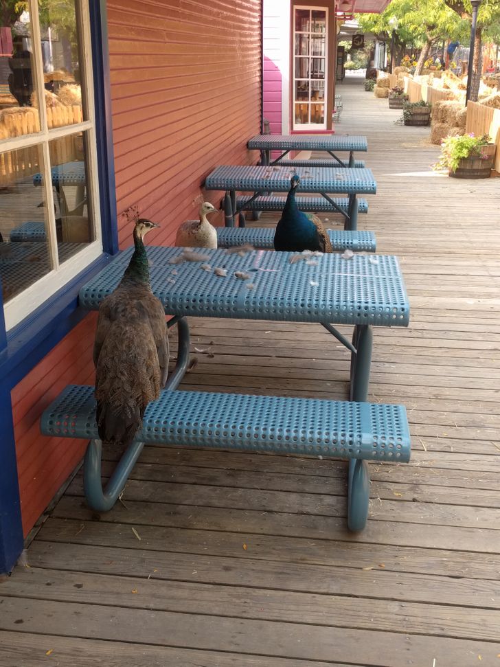 bd2862587daeb850a976ec866d