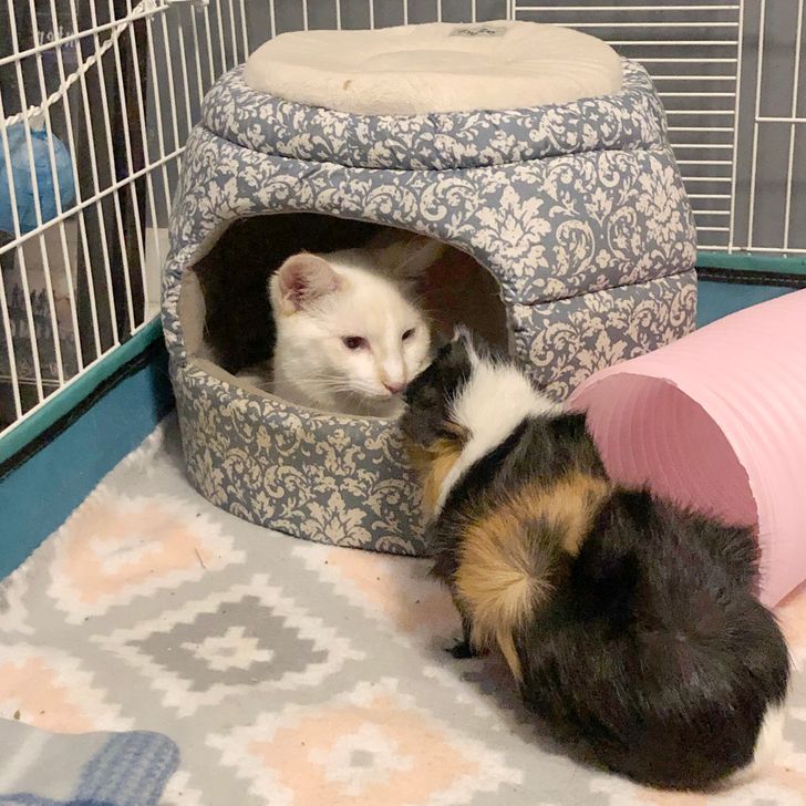 bd29f95fb181cb7cf214c00e92