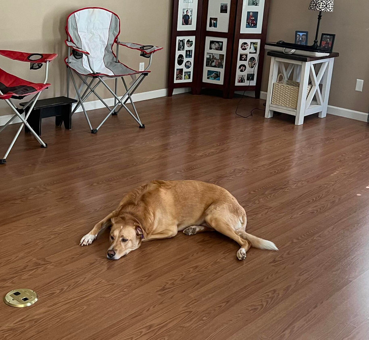 bd2be95c4b927e6bd8378ca248 bd2be95c4b927e6bd8378ca248