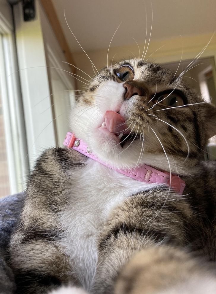 bd323950b0830c71b49042f94d