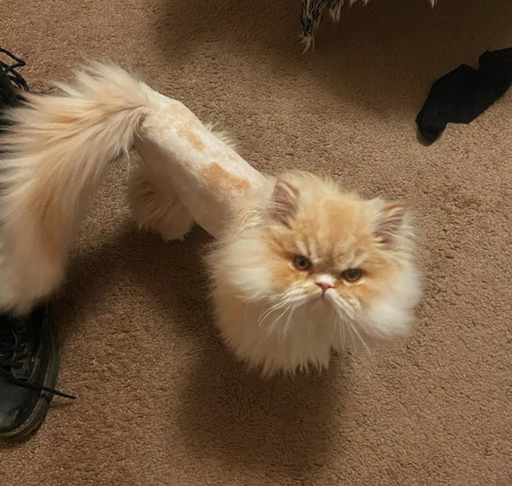 bd3c245b8c97233b6bbb79f4d7